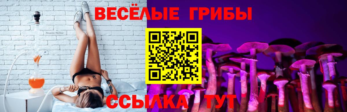 Галлюциногенные грибы Psilocybe Рузаевка
